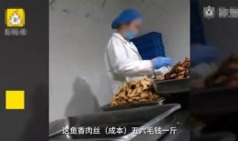 肉食加工爆料怎么做的视频,跟随视频学习肉食制作全过程